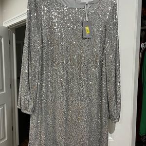 NWT Preston & York Silver Sequin Dress